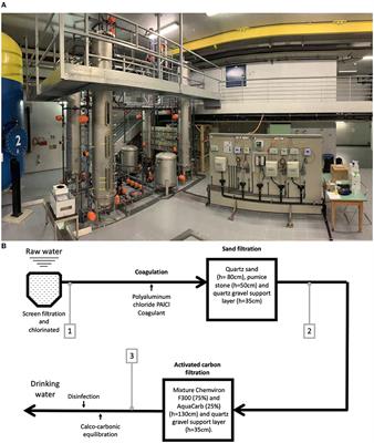 Contamination and Removal Efficiency of Microplastics and Synthetic Fibres in a Conventional Drinking Water Treatment Plant